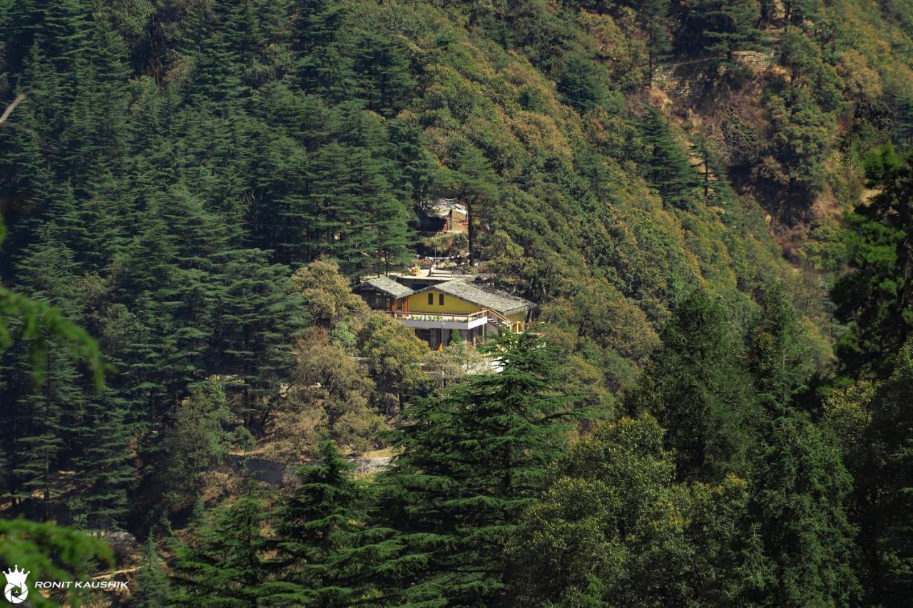 Rock Villa By Baaya Masuri Exterior foto